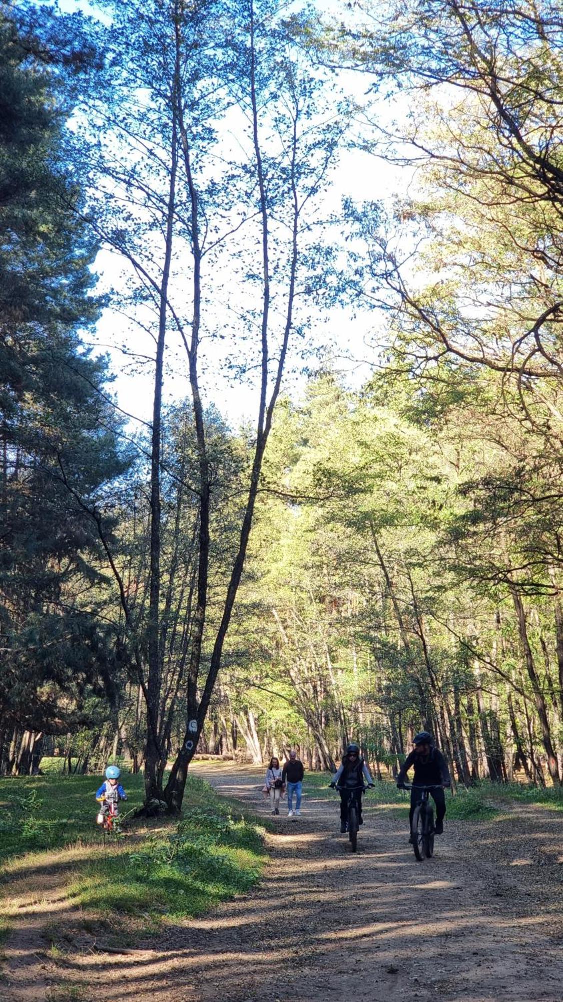 Reci Casuta Din Povestiヴィラ エクステリア 写真